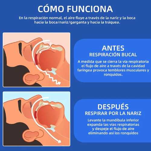 Encabezado